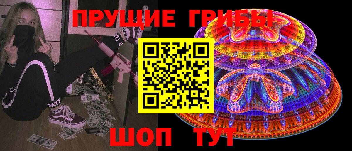 Галлюциногенные грибы Psilocybine cubensis Ахтубинск