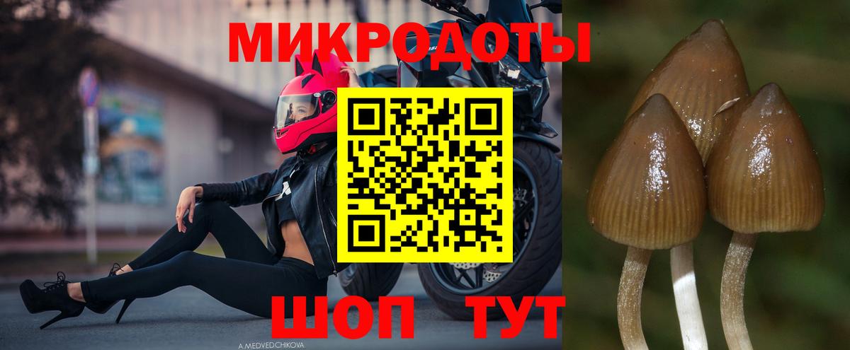 Ахтубинск  Галлюциногенные грибы прущие грибы  Вход с VPN 